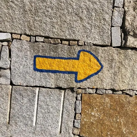 O Solpor Fillobal