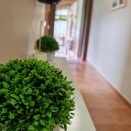 O Solpor Fillobal Auberge de jeunesse
